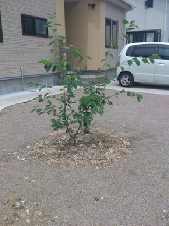 resizeman_20120723000211.jpg