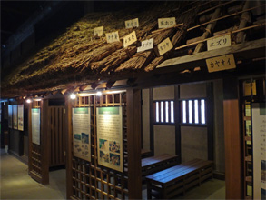 会津246.jpg