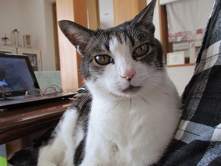 IMG_0078ss.jpg