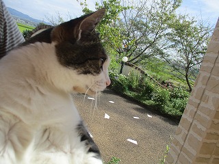 IMG_9853ss.jpg