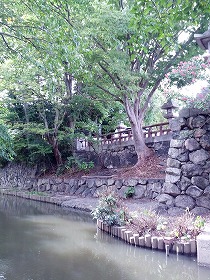 京都 133.jpg