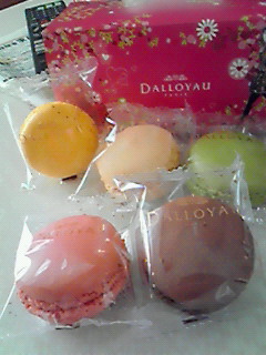 201202201054000.jpg