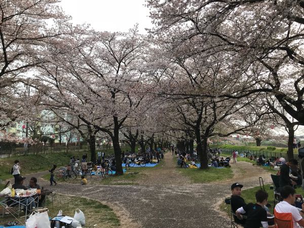 rblog-20180401154003-02.jpg