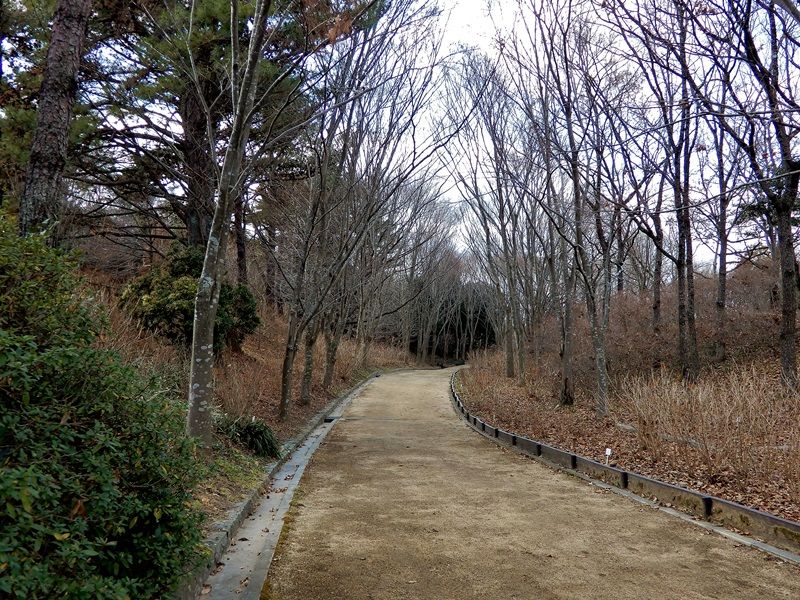 外周路2