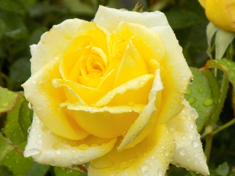 DSCN0474.JPG