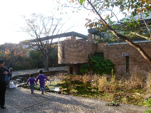 P1140071(1).JPG