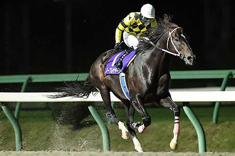 岩手競馬名馬トウケイニセイ第21回桐花賞優勝ゼッケン菅原勲騎手