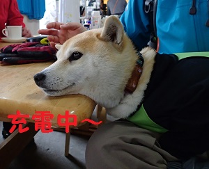 sansou
