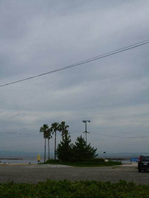 P1110601(1).JPG