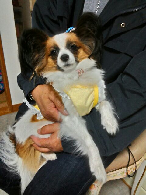 rblog-20160117223120-01.jpg