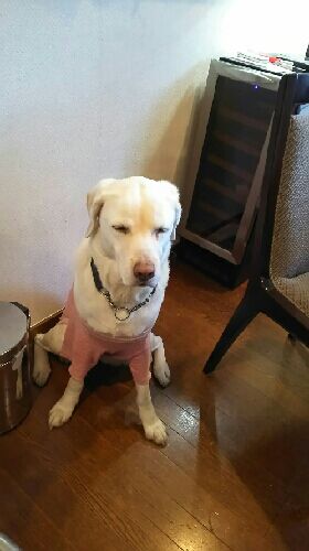 rblog-20160228172917-01.jpg