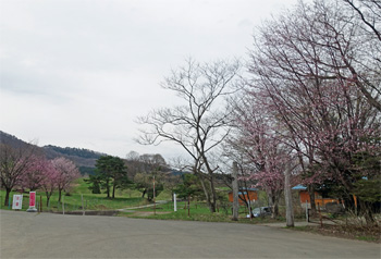 山形34.jpg