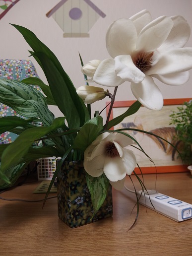 2016_0315_203946-P3151960-13.jpg