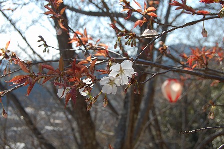 DSC_1195.jpg
