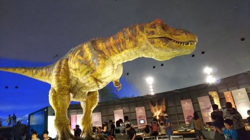 rblog-20180820190654-00.jpg