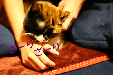 IMG_1268.png