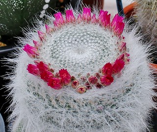 IMG_3349.jpg