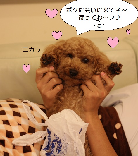 2014_1209_183450-IMG_3500.JPG