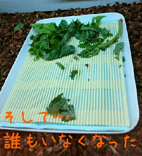 rblog-20150929111725-05.jpg