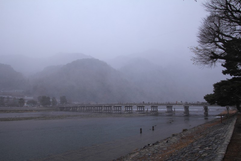 元旦の嵐山_005吹雪.jpg