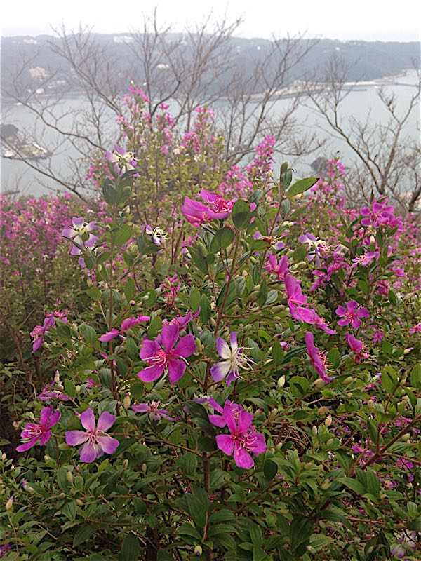 rblog-20141110144513-01.jpg
