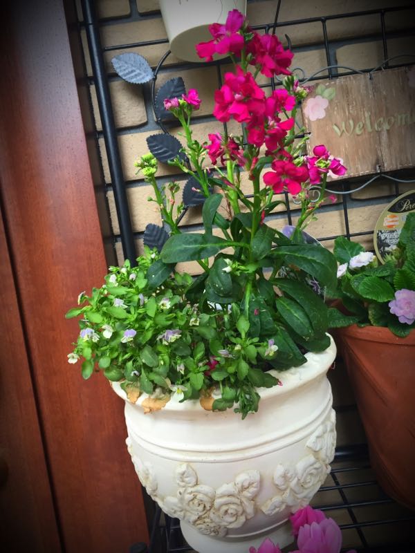 rblog-20160427175718-08.jpg