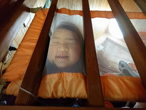 自然に、生き生きとする！！ | こうくんの屋久島日記 ～転職・移住の末に～ - 楽天ブログ
