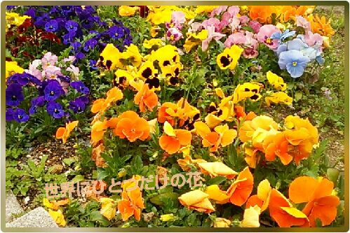 rblog-20160422234337-00.jpg