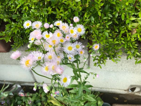 rblog-20180429182659-03.jpg