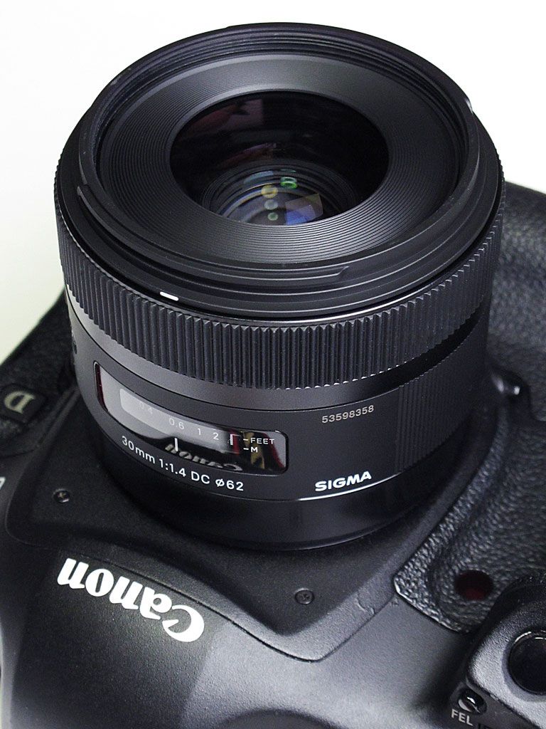 SIGMA - 【美品】SIGMA Art 30㎜ F1.4 DC HSM キヤノン用の+