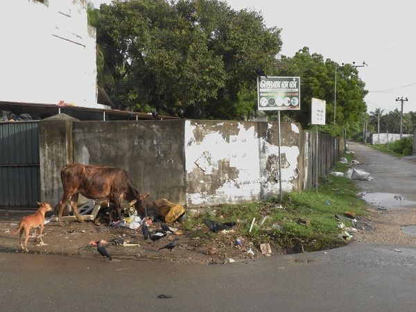 廃墟の町ジャフナ 放浪の達人ブログ 楽天ブログ