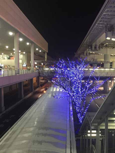 関空のイルミネーション