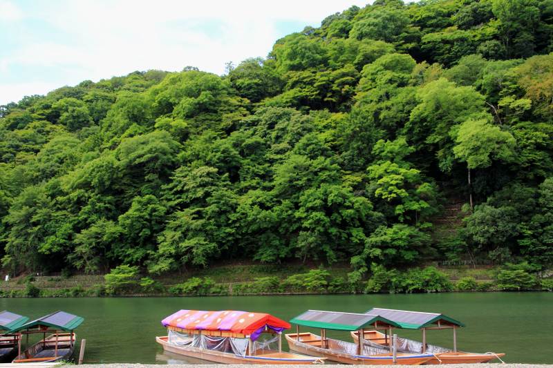 夏の嵐山_02.jpg