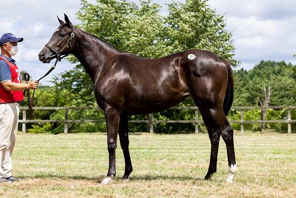 古谷 剛彦 の記事一覧 地方競馬の楽天競馬 日替わりライターブログ 楽天ブログ