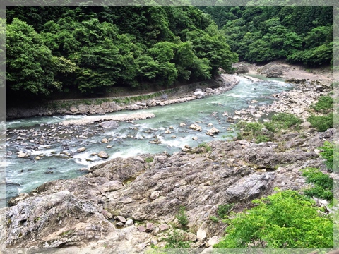 トロッコ列車沿線風景