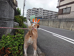 conv0007.JPG