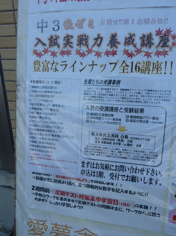 ゼミ.jpg