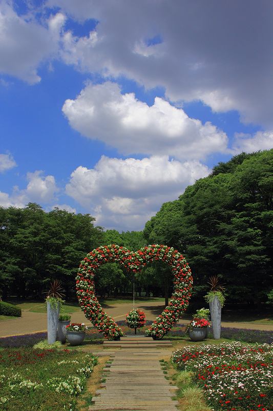 長居植物園_21-3.jpg