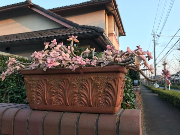 rblog-20180325191037-02.jpg