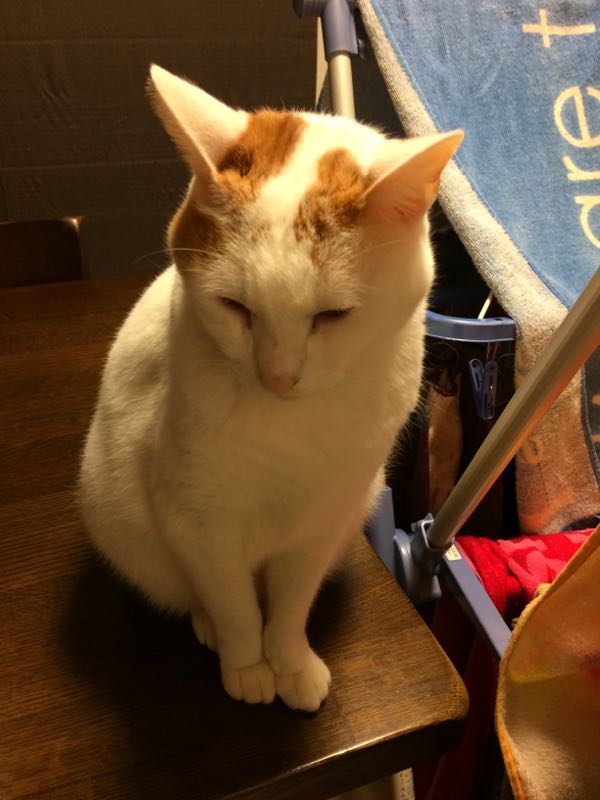 rblog-20150202072027-01.jpg