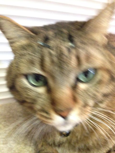IMG_1887.jpg