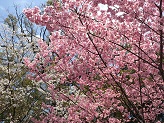 DSC_2716.jpg