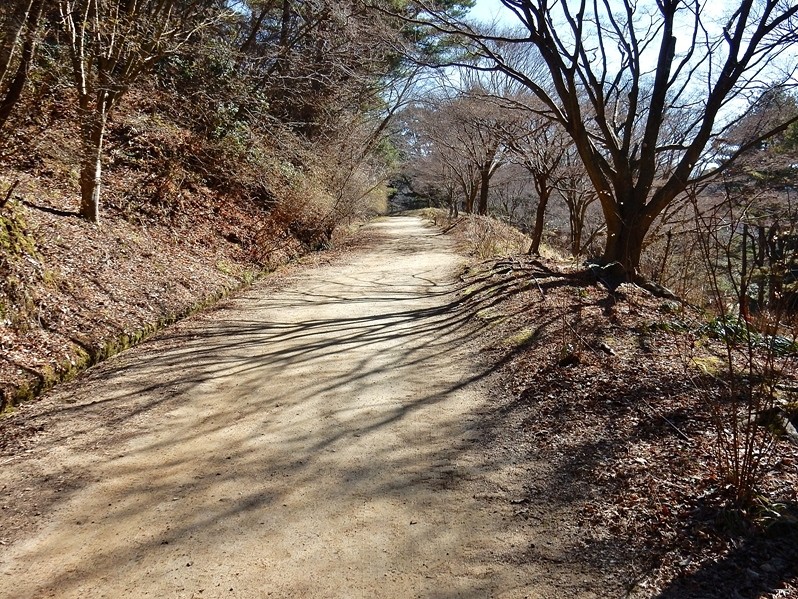 園内路2.JPG