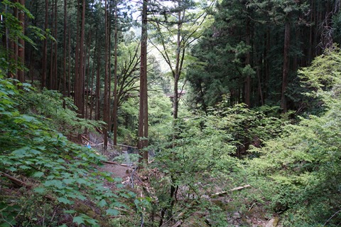 DSC03379.JPG