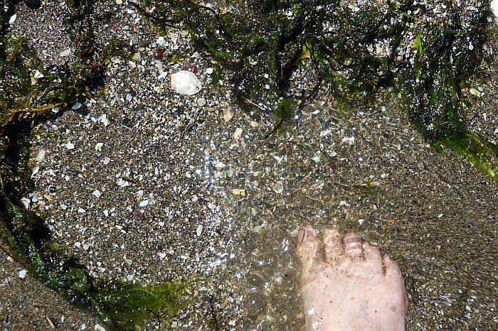 0172DSC04704.JPG