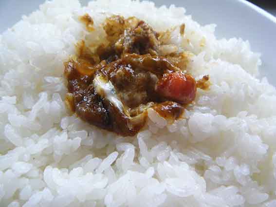 インドラの「ハンバーグカレー」-3♪