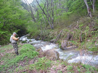 P1100514.jpg
