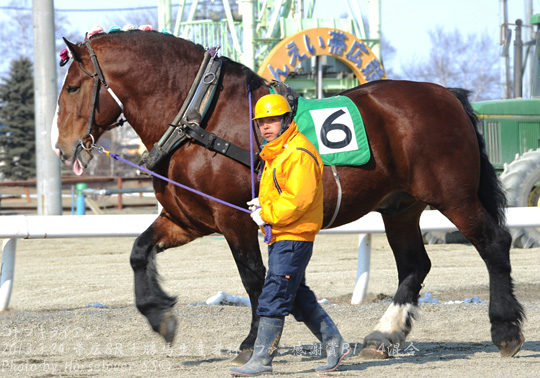 06KotobukiRyan032413Ob8R_03