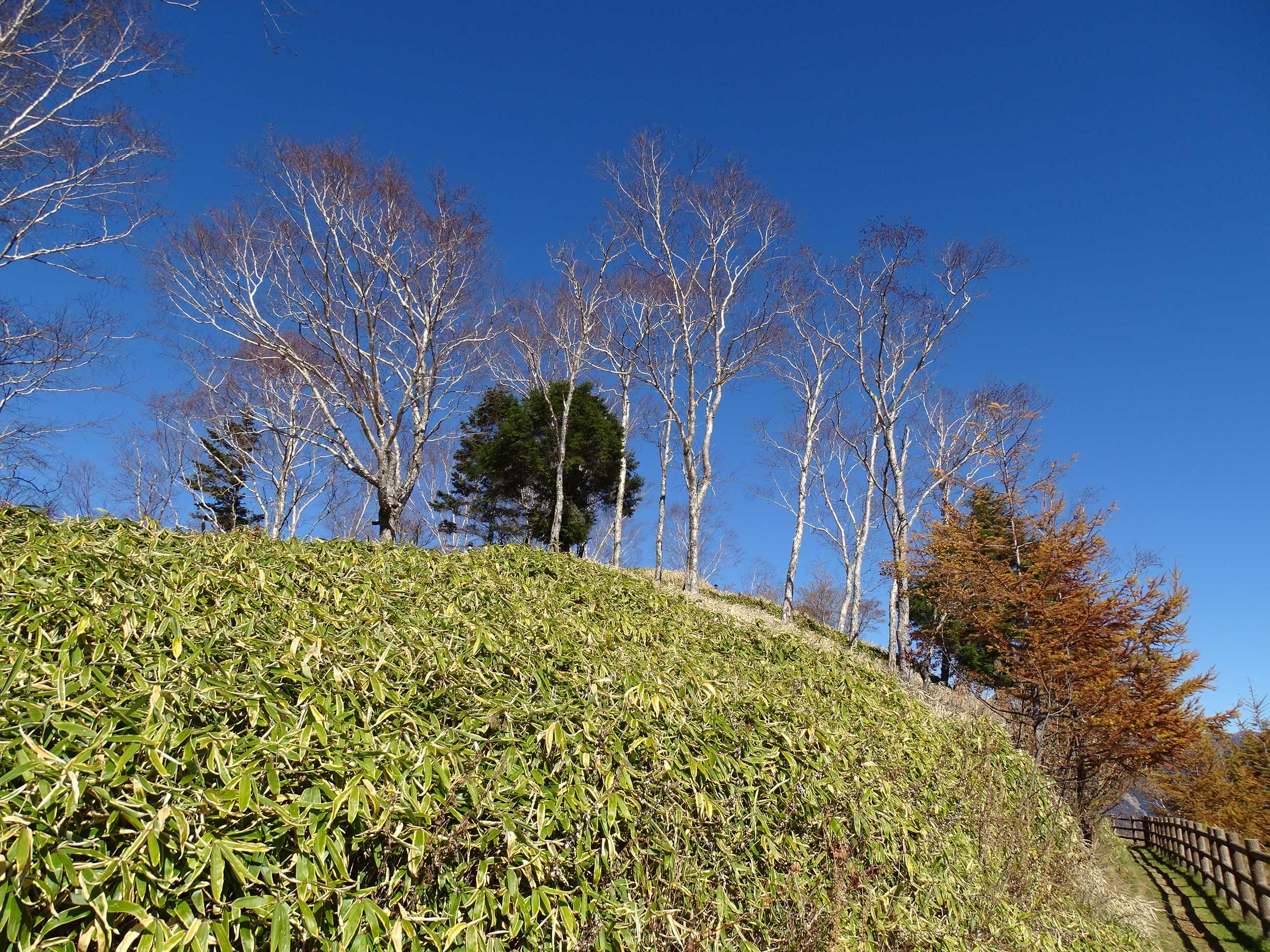 隊長さんの山ある記
