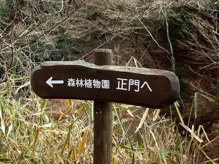 植物園への道 3.JPG